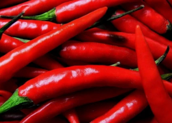 Acı bibərin gündəlik istifadəsi orqanizmə necə təsir edir?