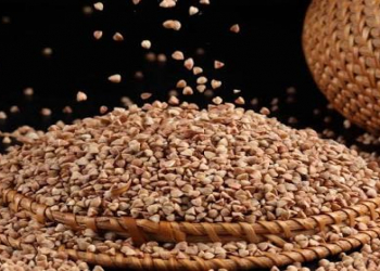 Qarabaşağın faydaları nələrdir?