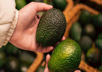 Bərk avokadonun yumşaldılmasının effektiv yolları