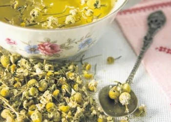 Zehni gücləndirən 5 bitki çayı