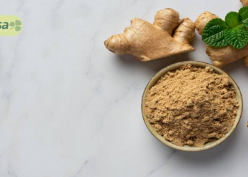 Zəncəfil mədəyə necə təsir edir?