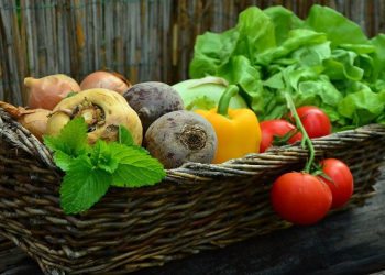 Çiy qidalar gigiyena baxımından ən həssas məhsullardır