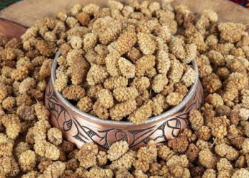 Təbii enerji və sağlamlıq mənbəyi