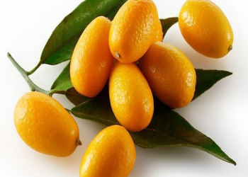 Kumquat diabetə faydalıdır?