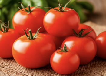 Allergiyası olanlar pomidor yeməməlidir