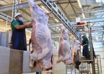 Qurbanlıq heyvanın kəsimi zamanı hansı tələblərə əməl edilməlidir?