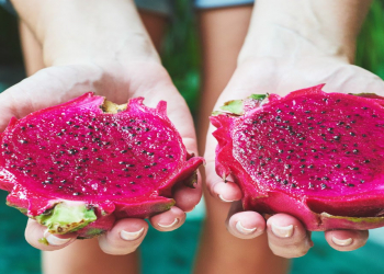 Pitahaya meyvəsinin faydaları