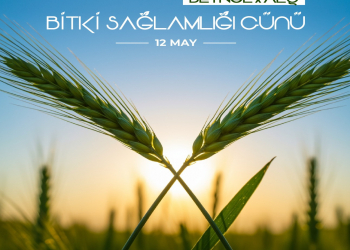 12 May - Beynəlxalq Bitki Sağlamlığı Günüdür