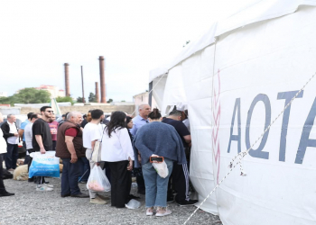Bayramla bağlı 135 ünvanda qurbanlıq heyvanların satışı və kəsimi xidmətləri göstərilir