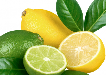 Limon: Dünyanın ən sağlam meyvəsi