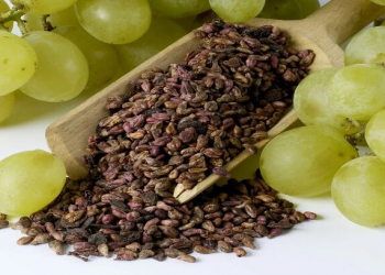 Üzüm çəyirdəyi immuniteti gücləndirirmi?