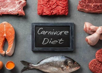 Carnivore pəhrizi nədir?
