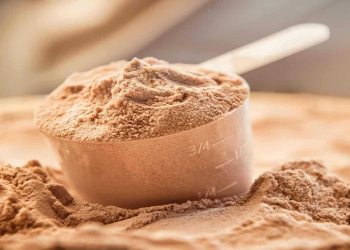 Protein tozu zərərlidirmi?