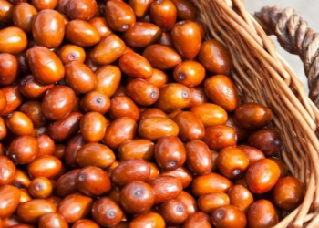 İydənin faydaları nələrdir?
