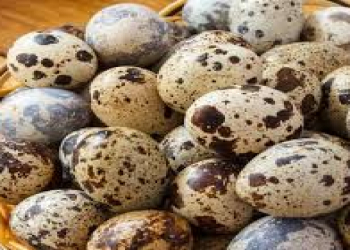Bu yumurta anemiyanın qarşısını alır