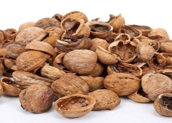 Qoz qabığının faydaları nələrdir?