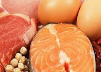 Protein pəhrizini necə tətbiq etmək olar?