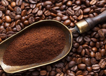 Gündəlik qəhvə istehlakı bağırsaq sağlamlığına necə təsir edir?