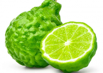 Berqamot nədir və faydaları nələrdir?