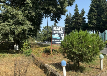 Bu kafedə nöqsanlar aşkarlandı