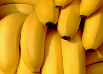 Banan beynin enerji ehtiyacını ödəyir və əhval-ruhiyyəni yaxşılaşdırır