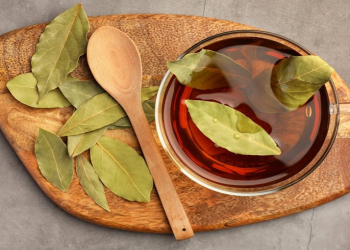 Dəfnə yarpağı çayını gündə neçə dəfə içmək olar?