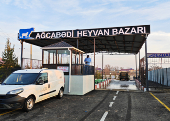 Ağcabədidə heyvan satışı bazarı fəaliyyətə başlayıb