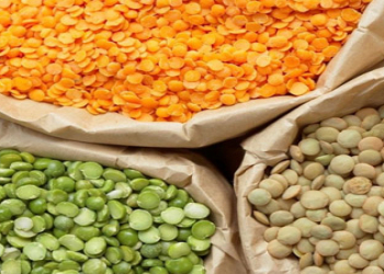 Mərci zülal və enerji mənbəyidir