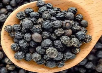 Qara istiotun faydaları nələrdir?