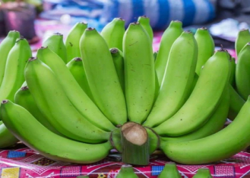 Dietoloq ödemə meyilli şəxslər üçün faydalı meyvəni açıqladı