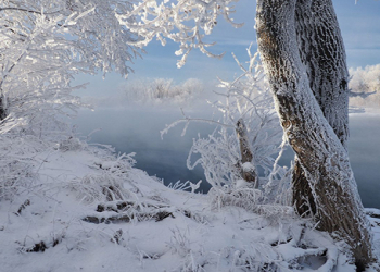 20 dərəcə şaxta olacaq