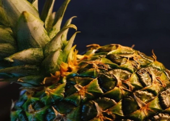 Ananas həqiqətən bədəndə yağların yanmasına kömək edirmi?