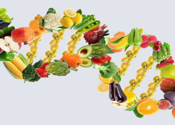 DNT əsaslı pəhrizlər: fərdi qidalanmada yeni dövr başlayır
