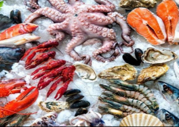 Dəniz məhsullarında mikroplastiklər varmı?