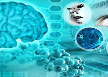 Doğru karbohidrat seçimi beyin sağlamlığını gücləndirir