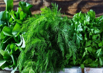 Təzyiqi sürətlə normallaşdıran və qanı duruldan göyərti