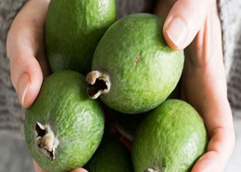 Yodla zəngin feyxoa möcüzəsi - Zobun, prostatın dərmandır