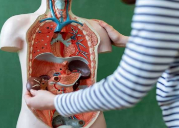 İnsanın gücü neçə yaşından azalmağa başlayır?