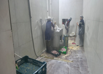 Novxanıda fəaliyyət göstərən kəsim məntəqəsində nöqsanlar aşkarlanıb