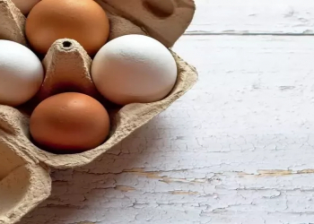 Hər gün səhər yeməyi üçün yumurta: Orqanizmə necə təsir edir?
