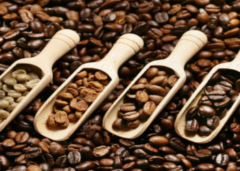 Hansı qəhvə daha dadlı və güclüdür — tünd yoxsa orta qovrulmuş?