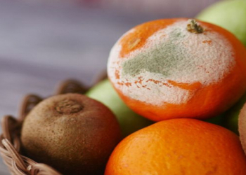 Meyvə və tərəvəzləri daha uzun müddət təzə saxlamağın sadə üsulu