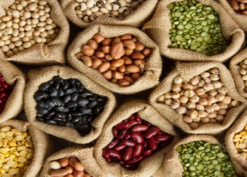 Paxlalılar uzunömürlülüyə töhfə verir – dietoloqlardan açıqlama