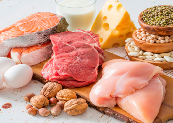 Əzələlərin böyüməsi üçün hansı zülallar daha təsirlidir?