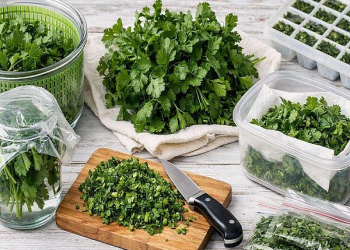 Cəfərinin saralmaması üçün ən təsirli 5 üsul