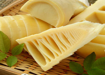 Bambuku yemək olarmı?