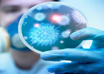 Dünyada ən ölümcül hesab olunan viruslar