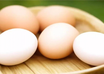 Yumurtanı harada saxlamaq daha doğrudur?