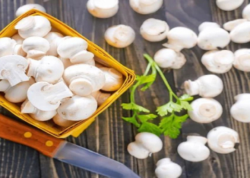 Şampinyonlar ürək və sinir sistemi üçün faydalıdır