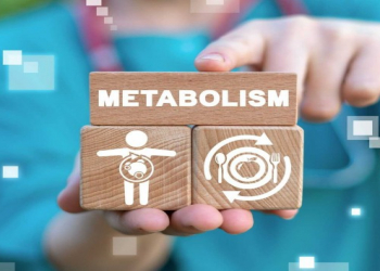 Kalorini azaltmaq metabolizmi zəiflədir? – Mütəxəssisdən açıqlama